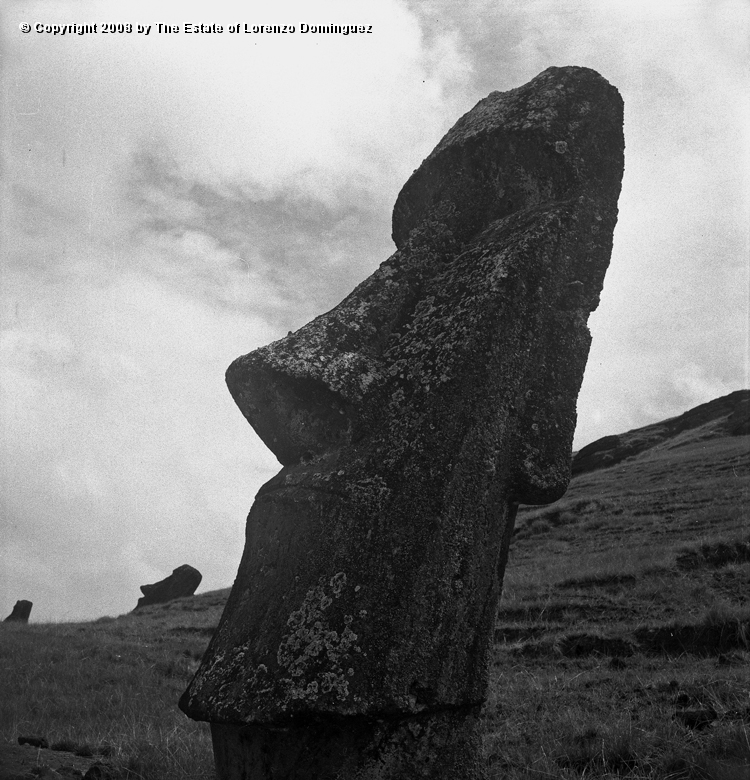 RRE_Angel_13.jpg - Easter Island. 1960. Moai on the exterior slope of Rano Raraku. Identified by Lorenzo Dominguez as "The Angel."
